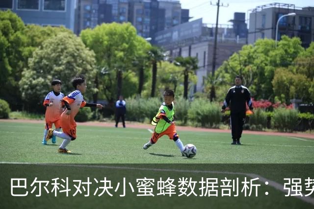 巴尔科对决小蜜蜂数据剖析：强势表现与挑战并存